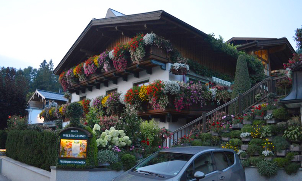 Salzburger Blumenschmuck - Salzburger Blumenschmuck